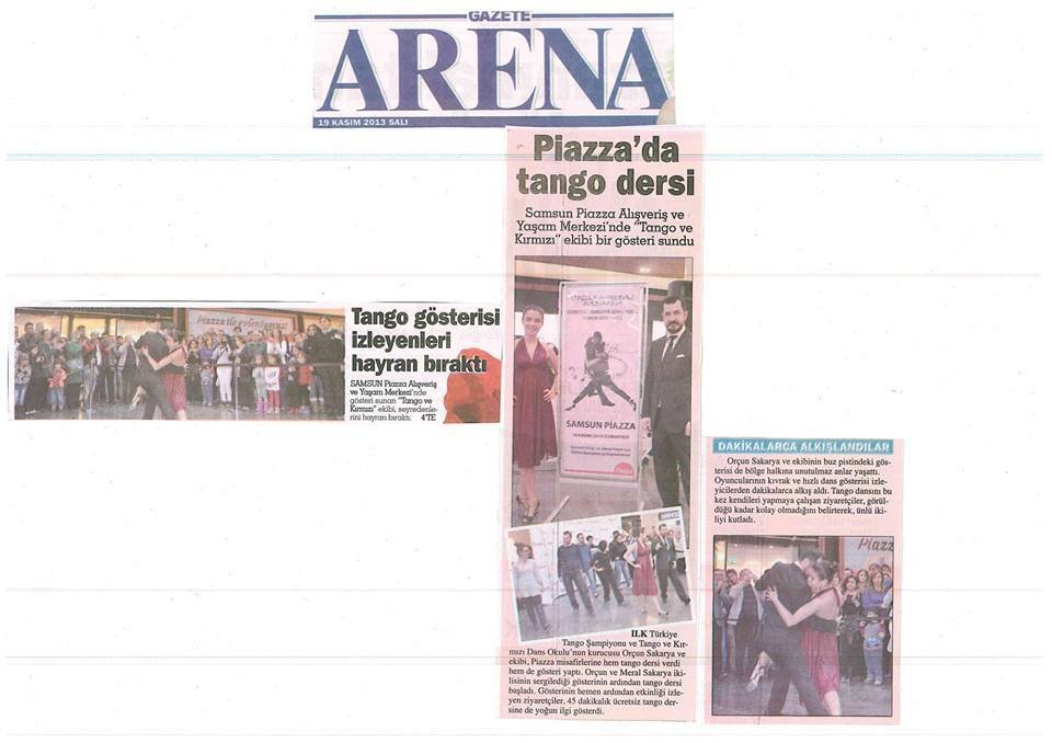 Arena Gazetesi